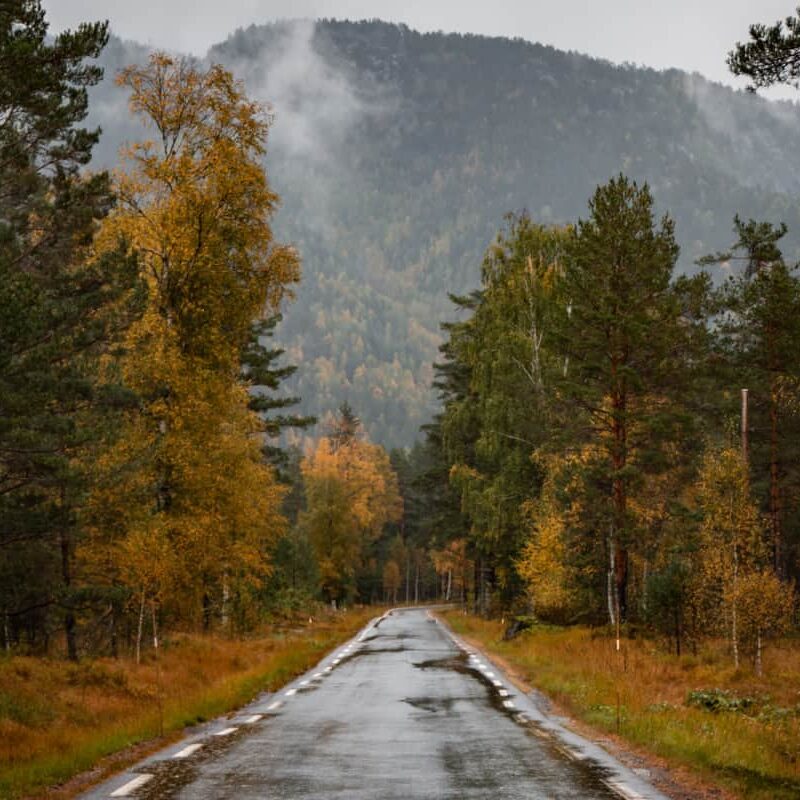 Scenic mountain road stretching into the distance, symbolizing the journey towards recovery and hope in the context of Unspecified Depressive Disorder (UDD).